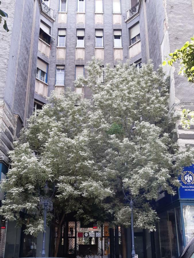 Wanderer 3 Apartment Дебрецен Екстериор снимка