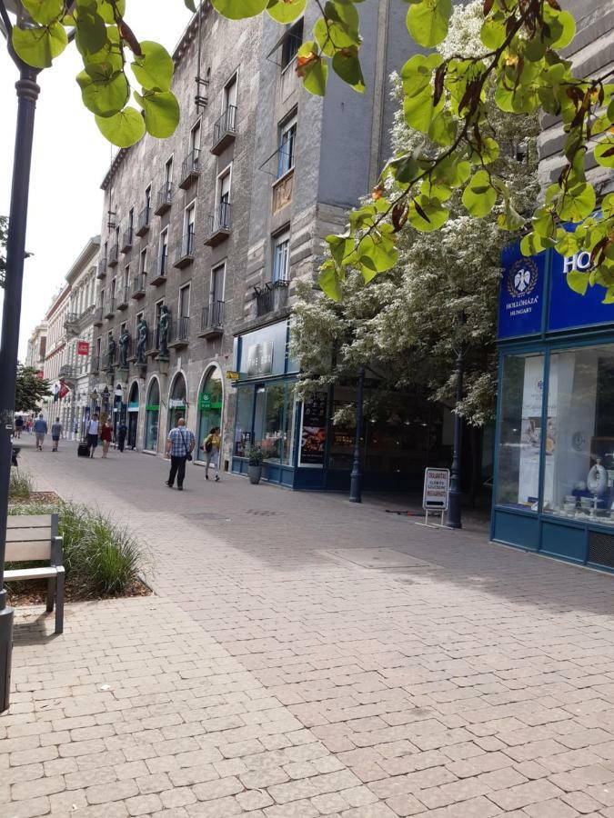 Wanderer 3 Apartment Дебрецен Екстериор снимка